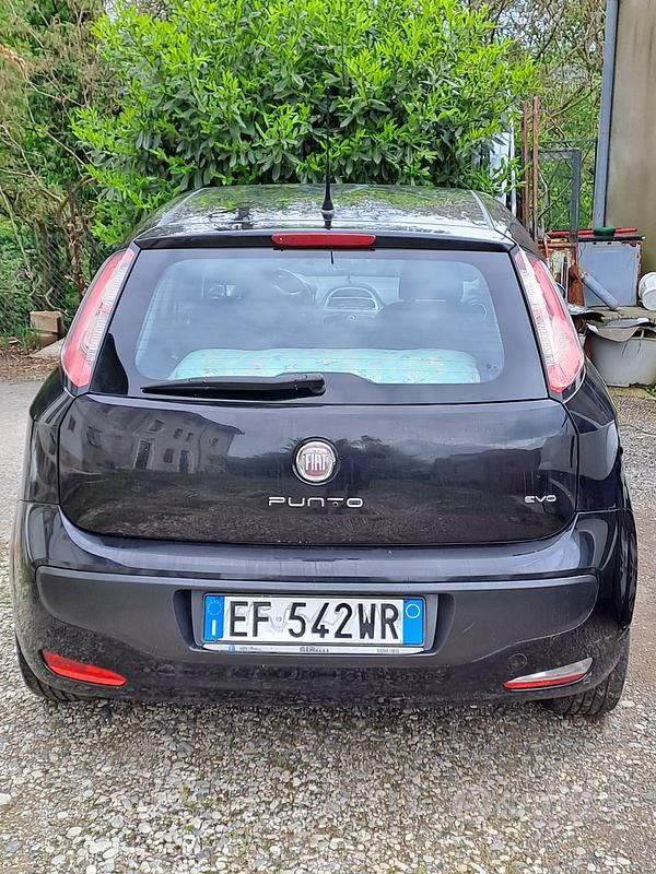 Usata Fiat Punto Evo 65 CV (47 kW) 2010 Nero Utilitaria