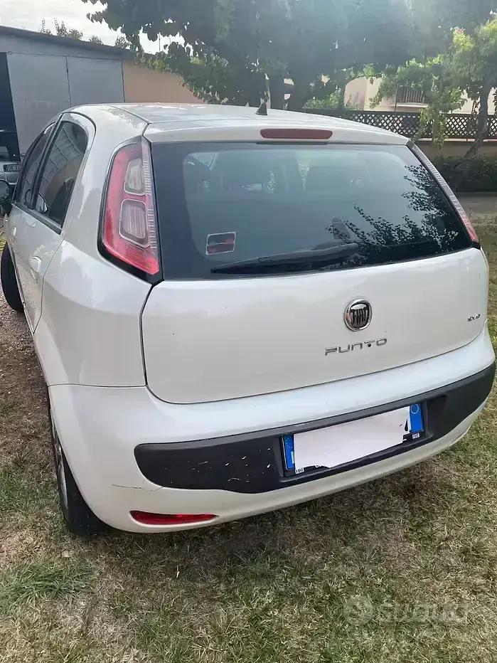 Usata Fiat Punto Evo S 95 CV (69 kW) 2011 Bianco Utilitaria