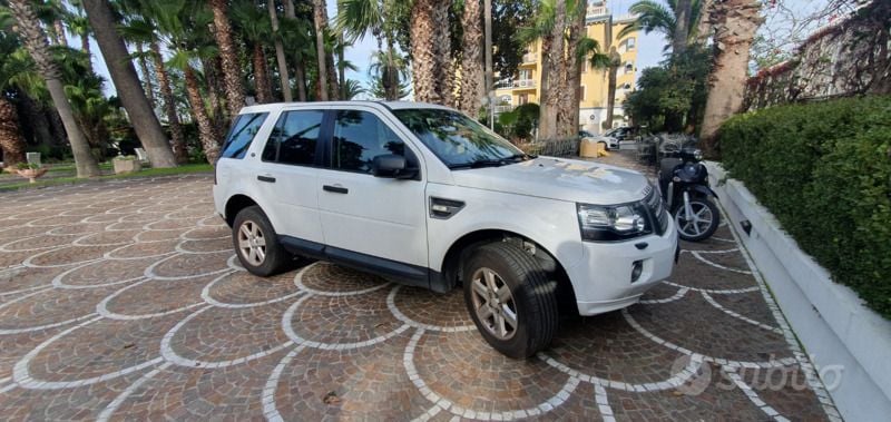 Usata Land Rover Freelander 2 S 150 CV (110 kW) 2014 Bianco SUV