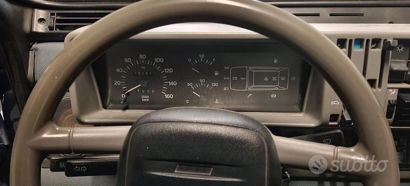 Usata Fiat Panda 4x4 Trekking 54 CV (39 kW) 1998 Blu Utilitaria