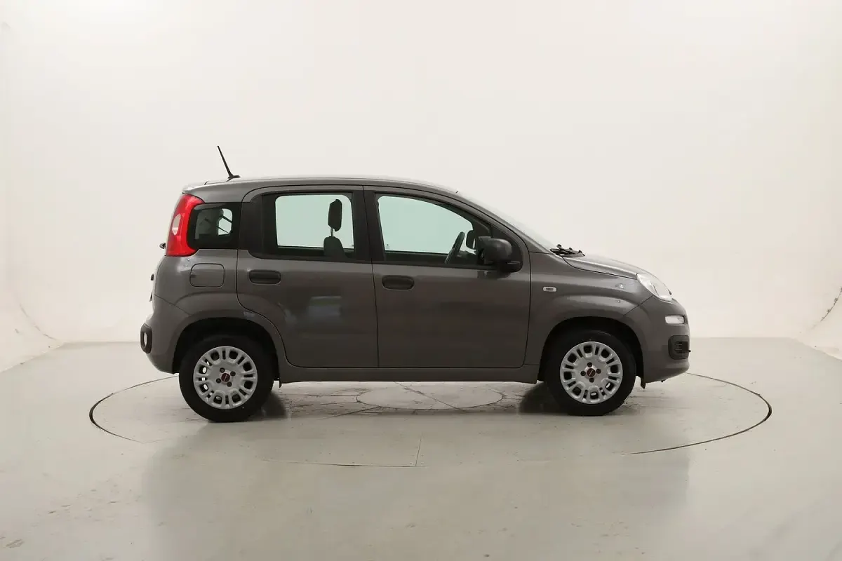 Usata Fiat Panda Easy 69 CV (50 kW) 2021 Utilitaria