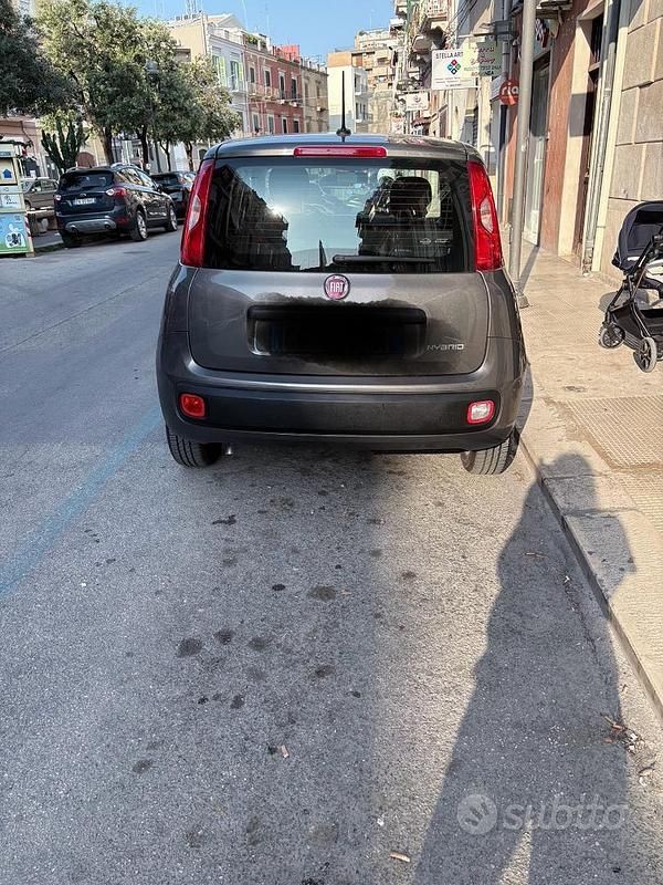 Usata Fiat Panda 70 CV (51 kW) 2021 Grigio Utilitaria