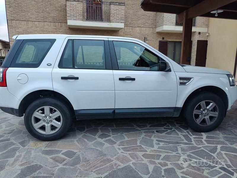 Usata Land Rover Freelander 2 190 CV (139 kW) 2010 Bianco SUV