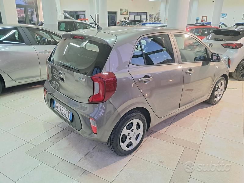 Usata Kia Picanto Urban 65 CV (47 kW) 2020 Marrone Utilitaria