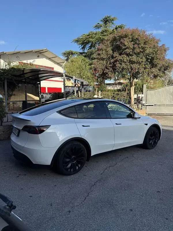 Usata Tesla Model Y RWD 88 kW (120 CV) 2024 SUV