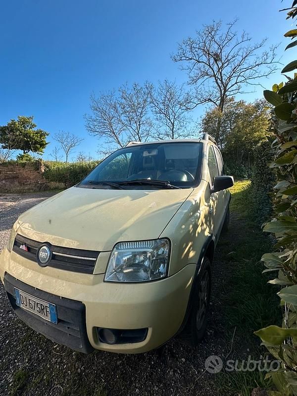 Usata Fiat Panda 4x4 69 CV (50 kW) 2007 Giallo Utilitaria