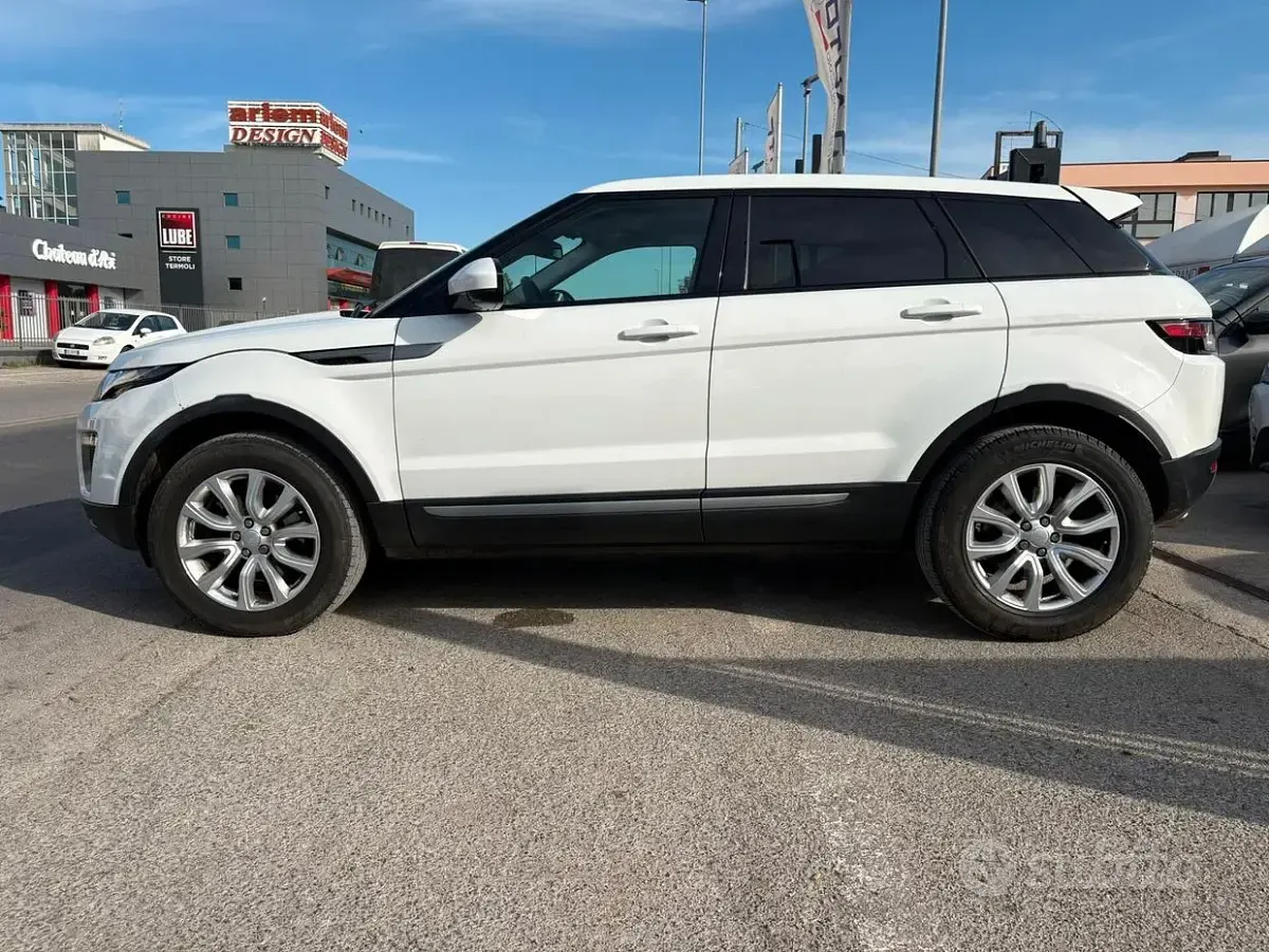 Usata Land Rover Range Rover evoque HSE 150 CV (110 kW) 2015 Bianco SUV