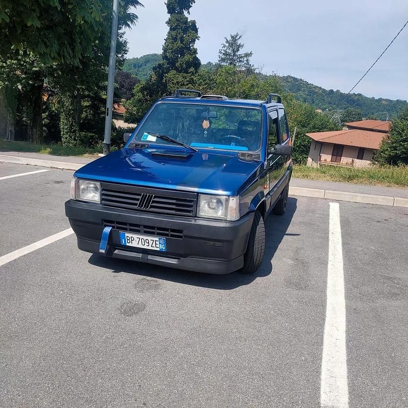 Usata Fiat Panda Young 54 CV (39 kW) 2001 Blu Utilitaria