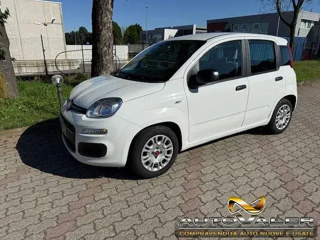 Usata Fiat Panda S 69 CV (50 kW) 2022 Bianco Utilitaria