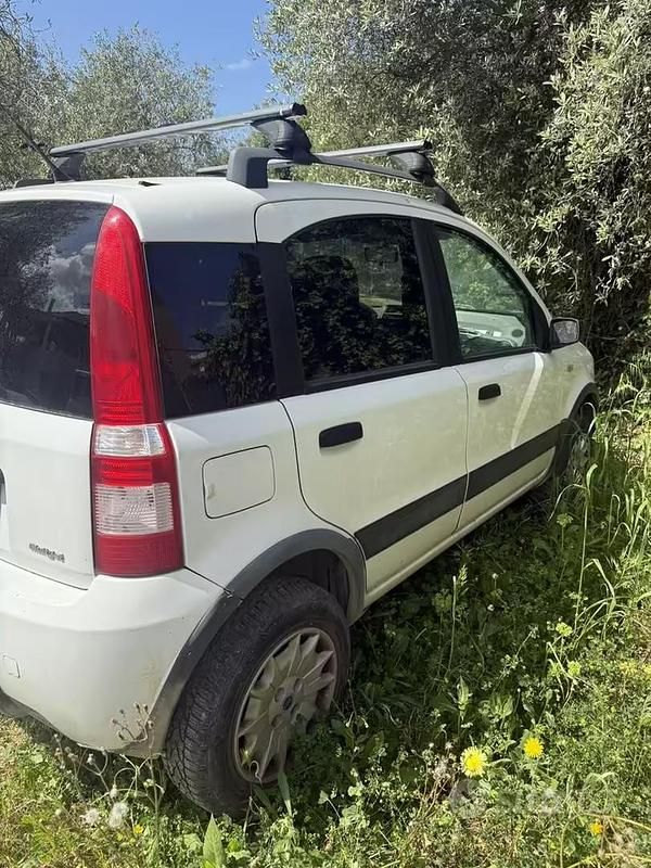 Usata Fiat Panda 4x4 69 CV (50 kW) 2006 Bianco Utilitaria