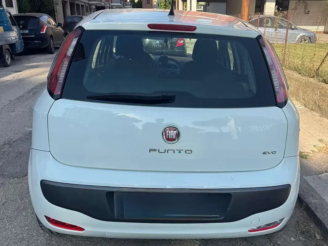 Usata Fiat Punto Evo Active 77 CV (56 kW) 2010 Bianco Utilitaria