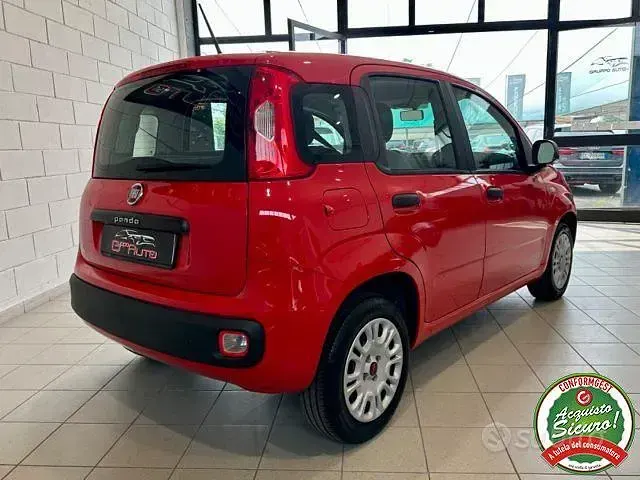 Usata Fiat Panda Pop 69 CV (50 kW) 2020 Rosso Utilitaria