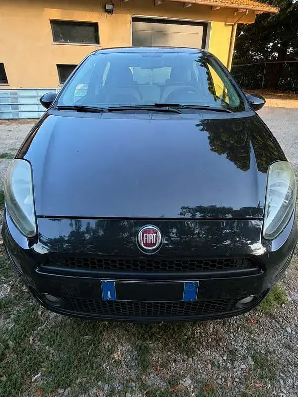 Usata Fiat Punto Easy 69 CV (50 kW) 2013 Utilitaria