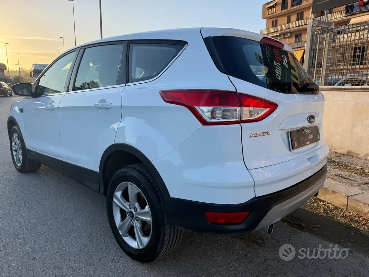 Usata Ford Kuga Business Edition 140 CV (102 kW) 2014 Bianco SUV
