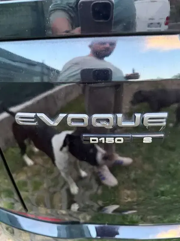 Usata Land Rover Range Rover evoque 150 CV (110 kW) 2020 Nero SUV