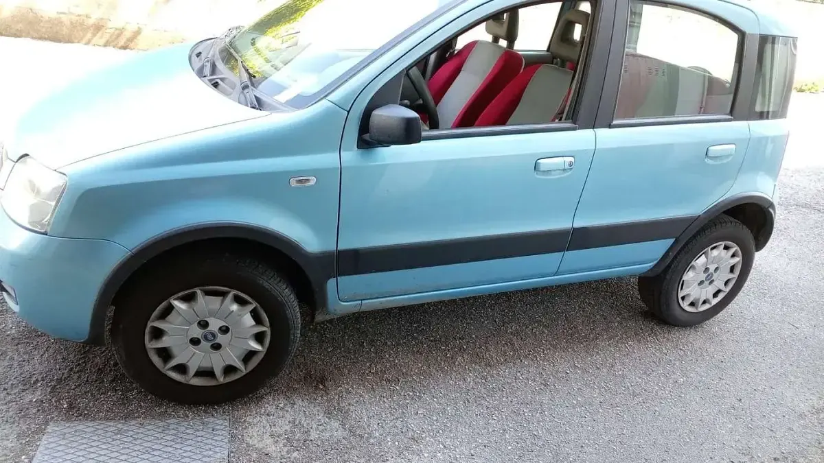 Usata Fiat Panda Active 61 CV (44 kW) 2005 Utilitaria