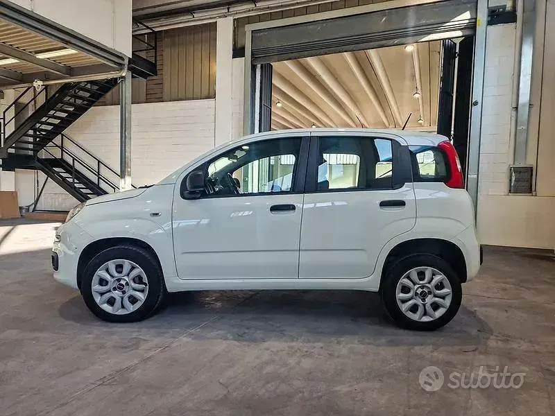 Usata Fiat Panda Easy 85 CV (62 kW) 2020 Bianco Utilitaria
