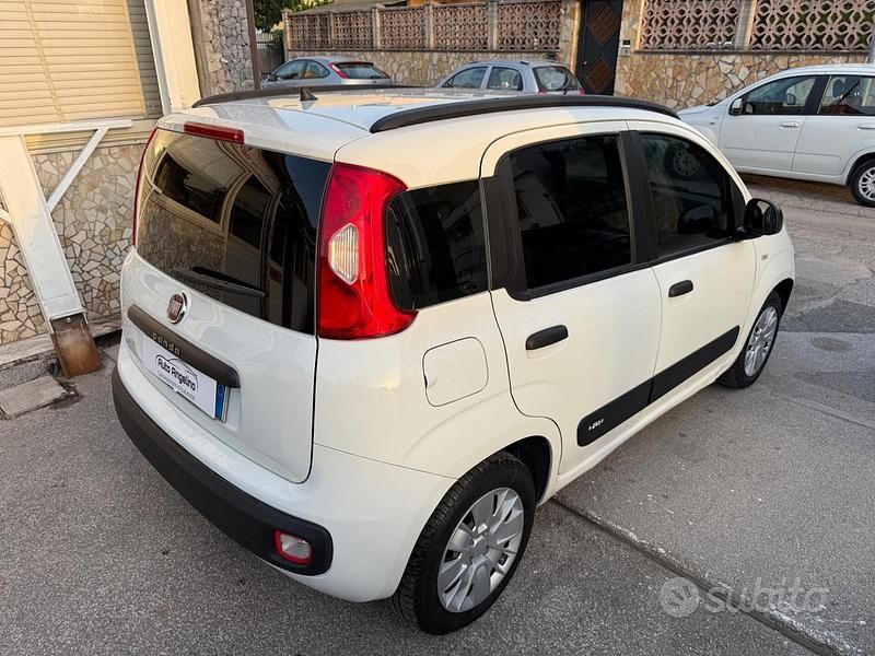 Usata Fiat Panda Lounge 71 CV (52 kW) 2020 Bianco Utilitaria