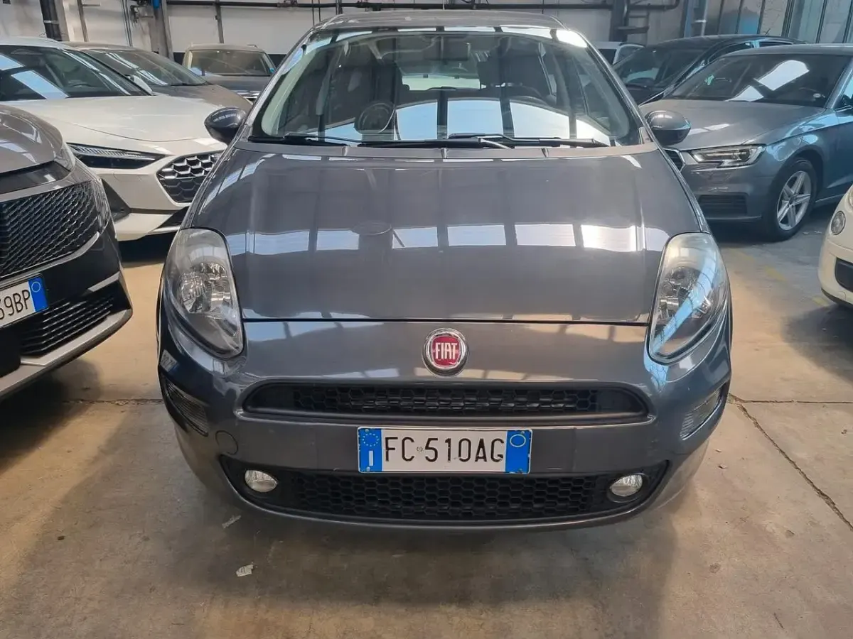 Usata Fiat Punto Lounge 69 CV (50 kW) 2015 Grigio Utilitaria