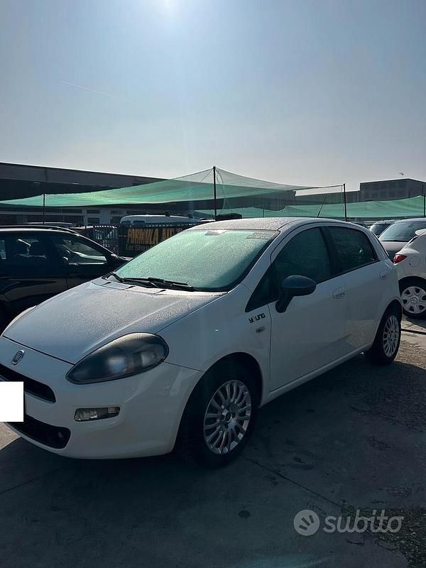 Usata Fiat Punto Lounge 69 CV (50 kW) 2014 Bianco Utilitaria