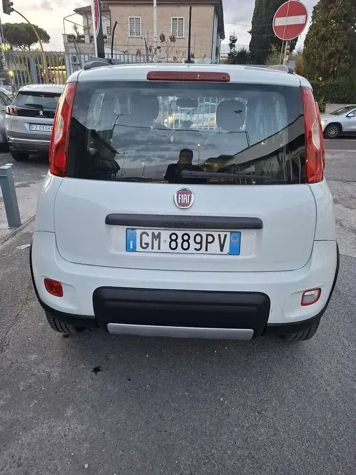 Usata Fiat Panda 4x4 Wild 86 CV (63 kW) 2023 Bianco perla Utilitaria