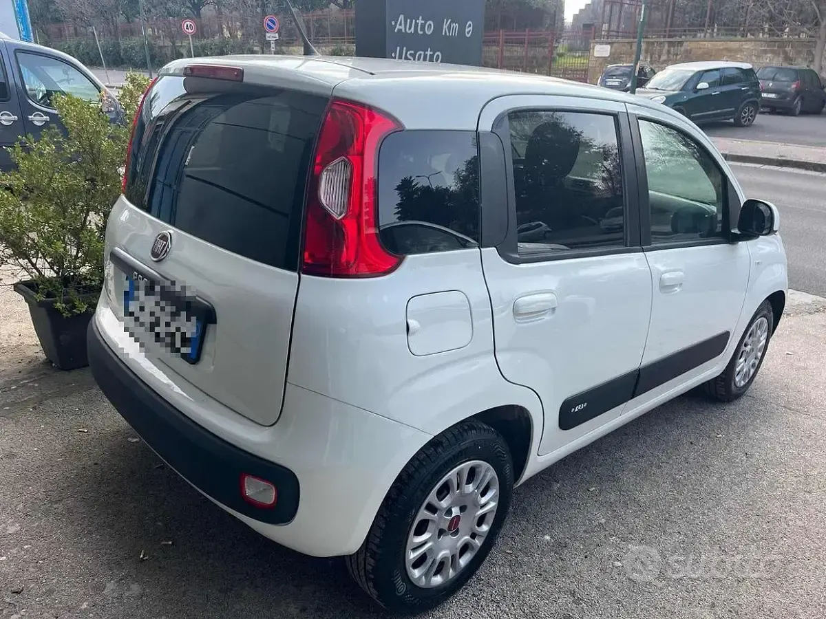Usata Fiat Panda 69 CV (50 kW) 2018 Bianco Utilitaria