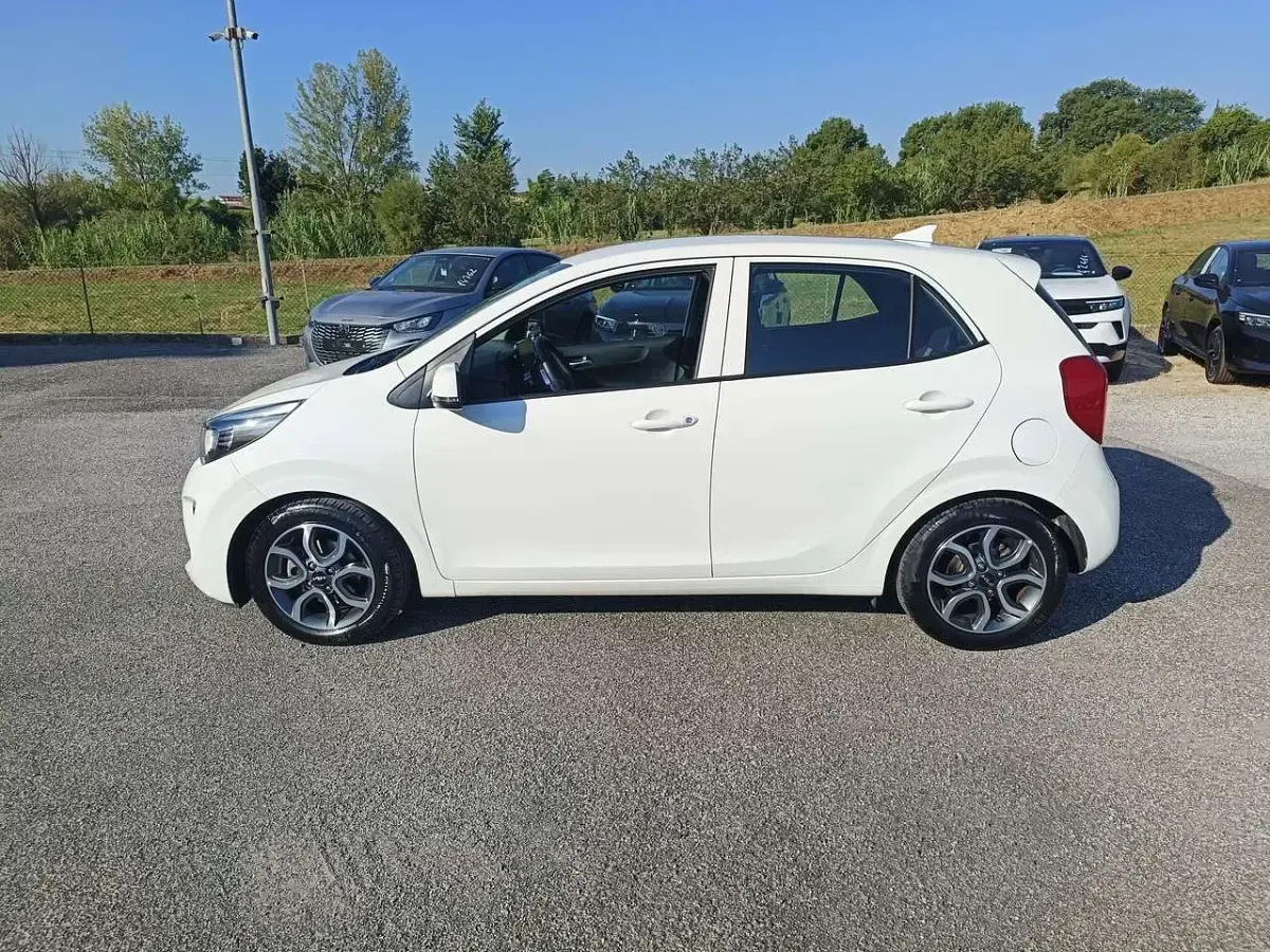 Usata Kia Picanto 65 CV (47 kW) 2022 Bianco Utilitaria