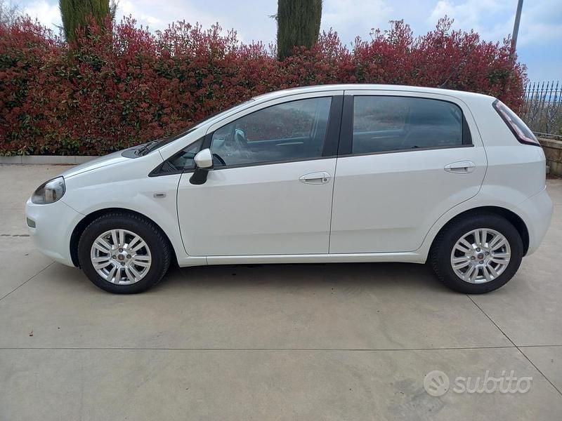 Usata Fiat Punto Lounge 75 CV (55 kW) 2014 Bianco Utilitaria