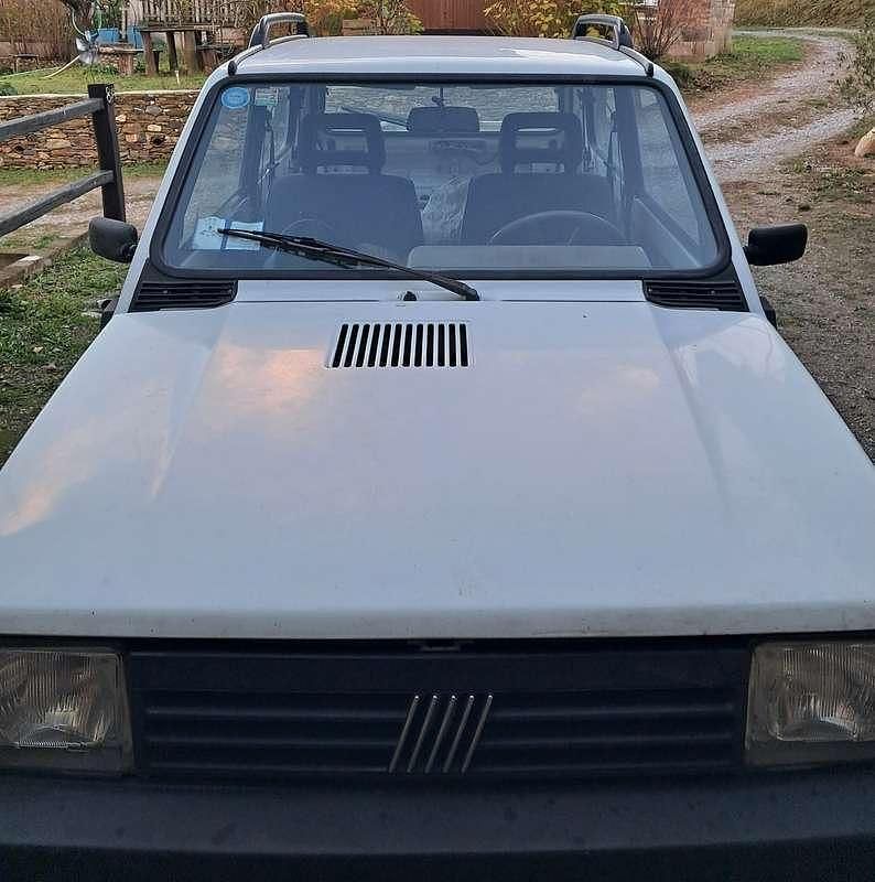 Usata Fiat Panda 4x4 Trekking 54 CV (39 kW) 1999 Utilitaria