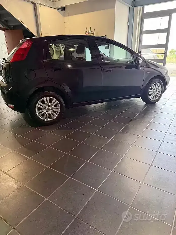 Usata Fiat Punto Evo 77 CV (56 kW) 2016 Bluazzurro Utilitaria
