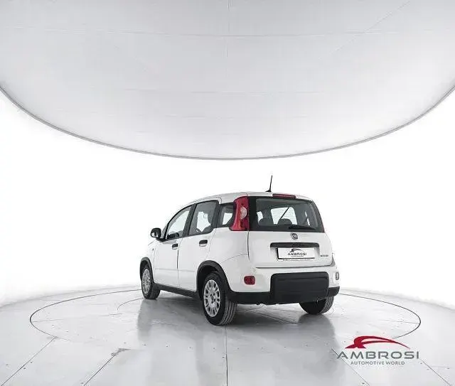 Usata Fiat Panda S 69 CV (50 kW) 2023 Bianco Utilitaria