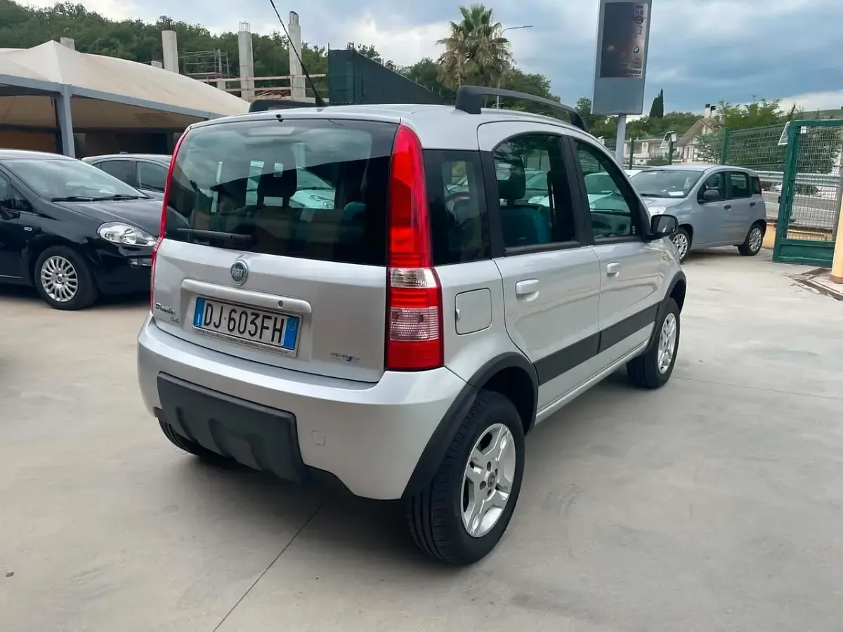 Usata Fiat Panda 4x4 69 CV (50 kW) 2007 Grigio Utilitaria
