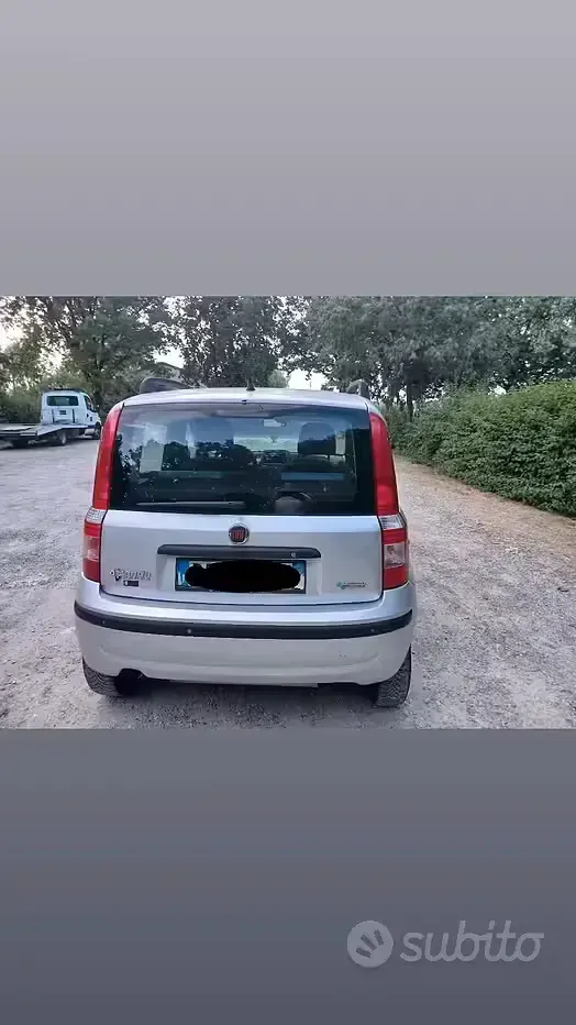 Usata Fiat Panda 60 CV (44 kW) 2008 Grigio Utilitaria