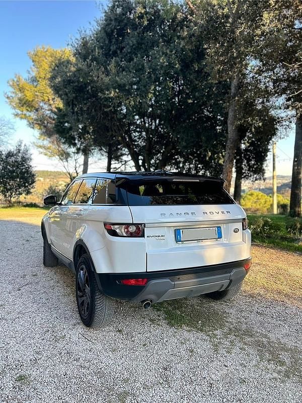 Usata Land Rover Range Rover evoque 150 CV (110 kW) 2014 Bianco SUV
