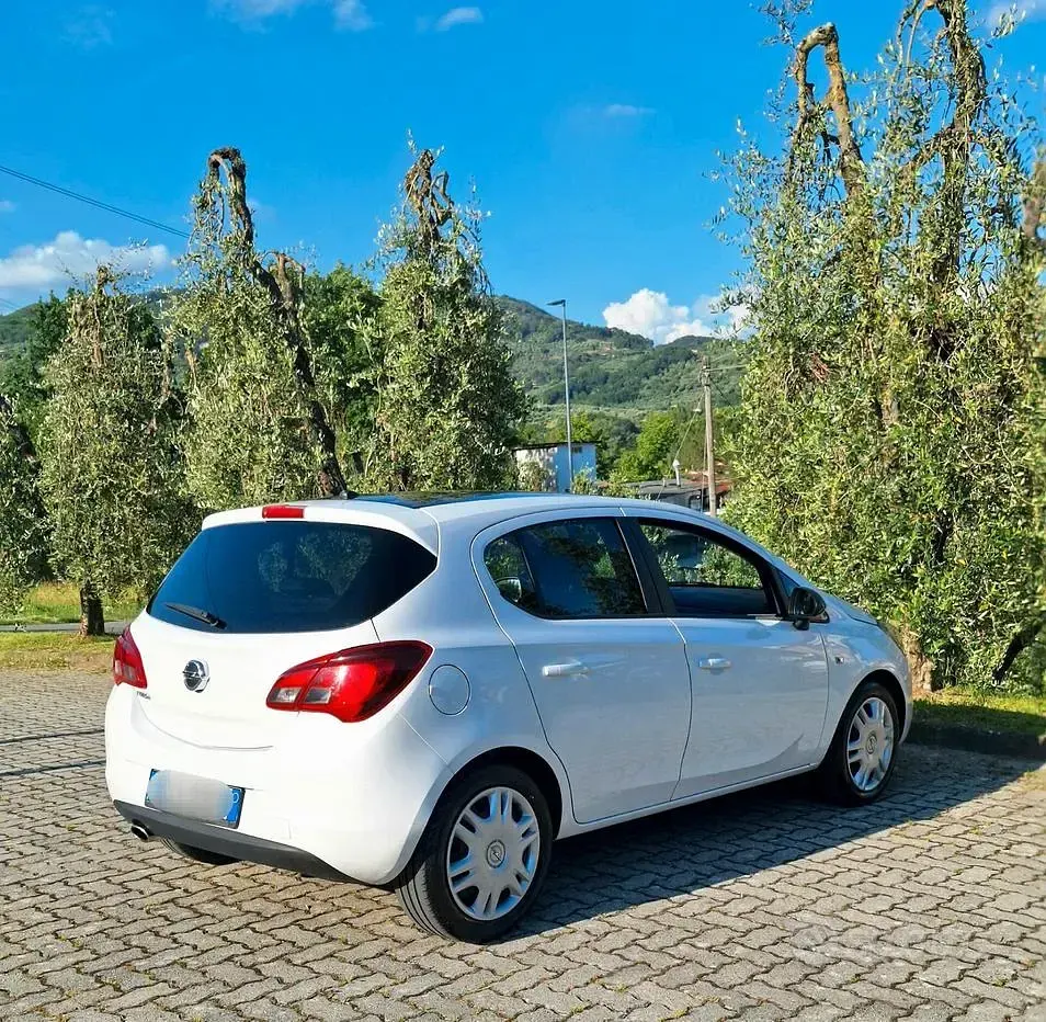 Usata Opel Corsa Cosmo 90 CV (66 kW) 2016 Bianco Utilitaria