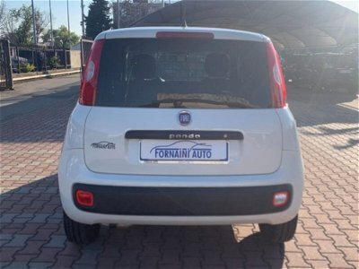 Usato 2017 Fiat Panda 4x4 1.2 Diesel 80 CV (12.000 €)