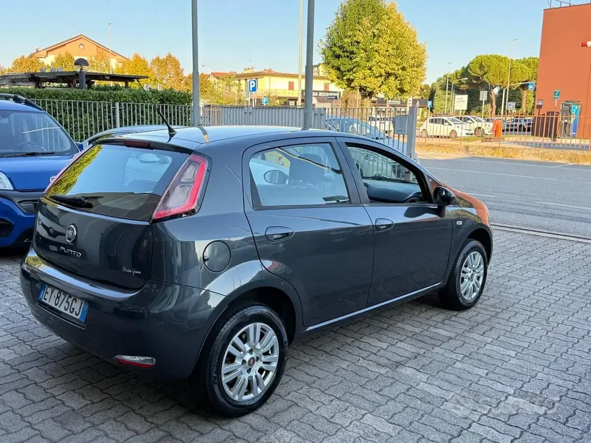 Usata Fiat Punto Evo Lounge 70 CV (51 kW) 2015 Grigio Utilitaria