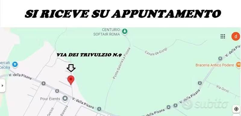 Usata Dacia Sandero 74 CV (54 kW) 2010 Rosso Berlina