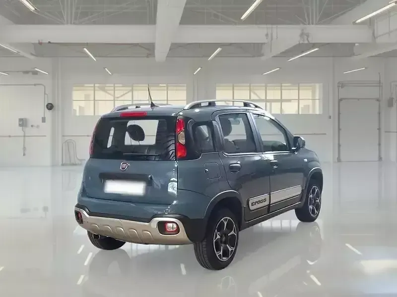 Usata Fiat Panda Cross Cross 85 CV (62 kW) 2021 Utilitaria