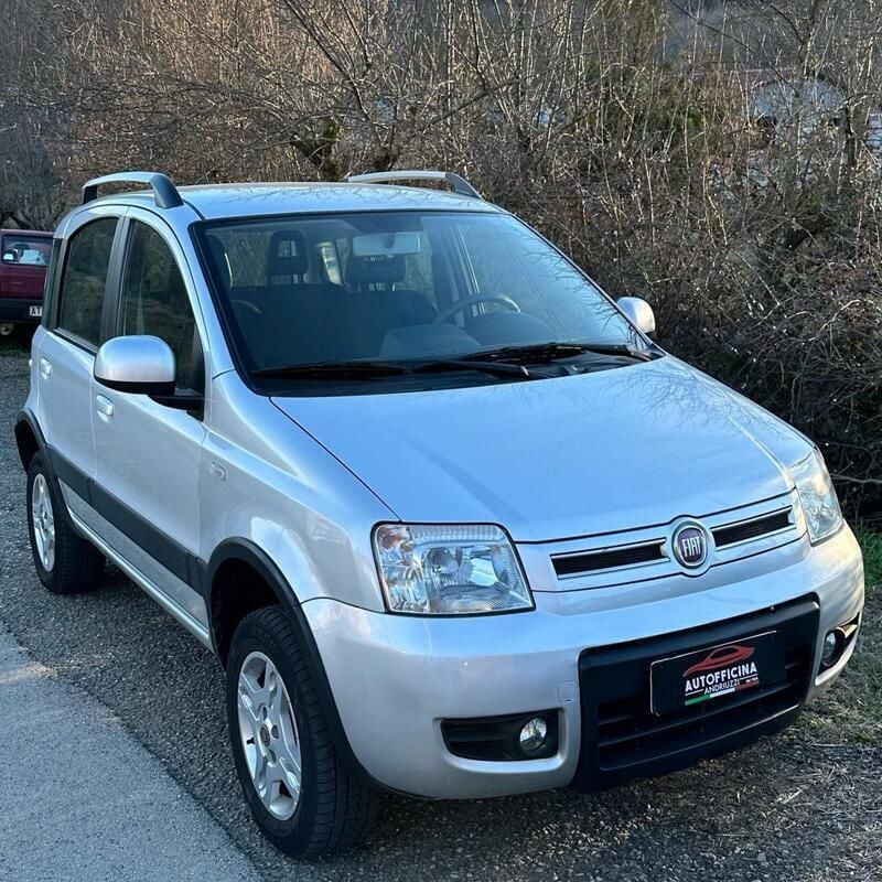 Usata Fiat Panda 4x4 Climbing 75 CV (55 kW) 2012 Grigio Utilitaria