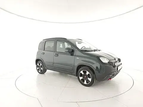 Usata Fiat Panda Cross Cross 69 CV (50 kW) 2023 Utilitaria
