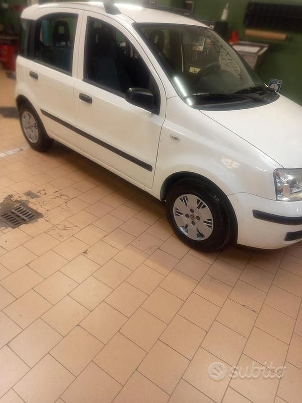 Usata Fiat Panda Dynamic 60 CV (44 kW) 2009 Bianco Utilitaria