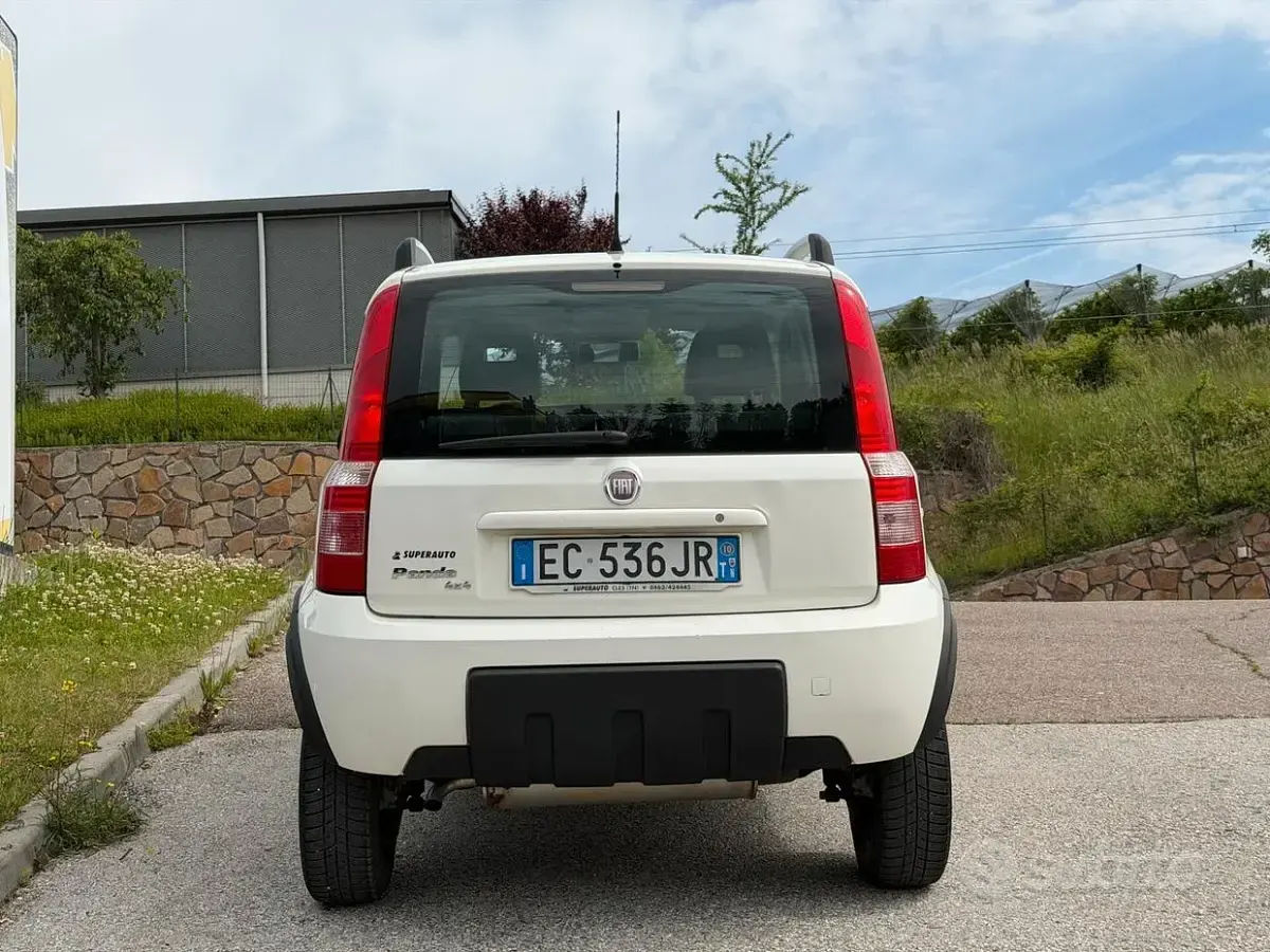 Usata Fiat Panda 4x4 60 CV (44 kW) 2010 Bianco Utilitaria