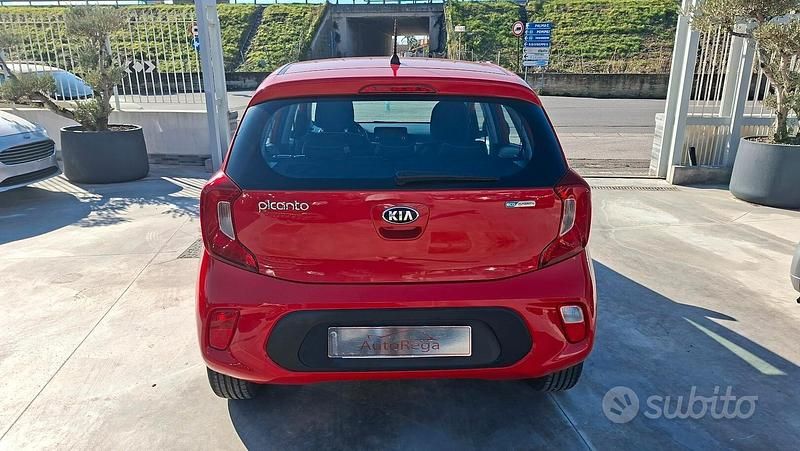 Usata Kia Picanto Style 66 CV (48 kW) 2020 Rosso Utilitaria