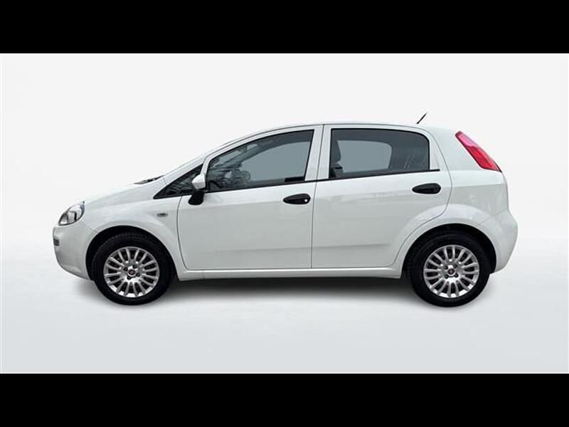 Usata Fiat Punto Easy 77 CV (56 kW) 2016 Bianco Utilitaria