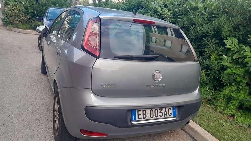 Usata Fiat Punto Evo Emotion 69 CV (50 kW) 2011 Utilitaria