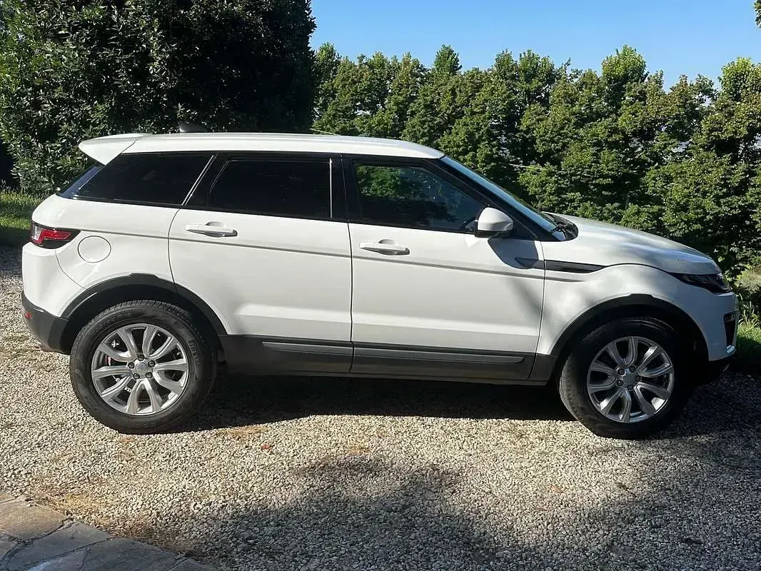 Usata Land Rover Range Rover evoque SE 150 CV (110 kW) 2018 Bianco SUV