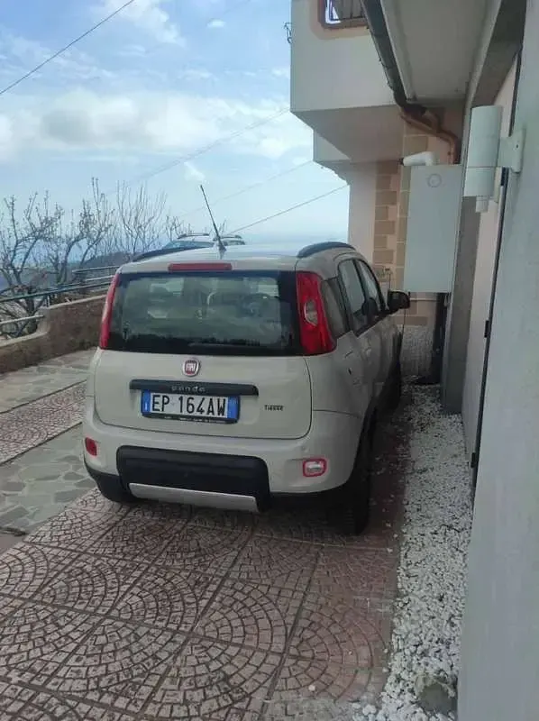Usata Fiat Panda 4x4 86 CV (63 kW) 2013 Utilitaria