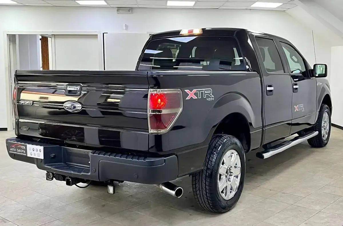 Usata Ford V8 XLT 366 CV (269 kW) 2014 Marrone SUV