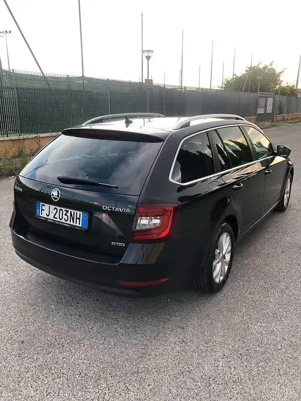 Usata Skoda Octavia G-TEC Executive 110 CV (80 kW) 2017 Station wagon